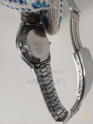 Automatic Citizen Watch