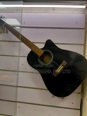 Suzuki Box Guitar