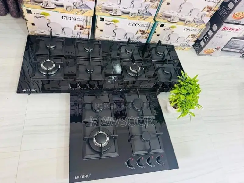 Gas Stove