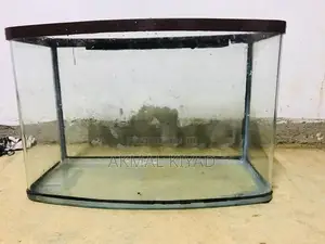 Fish Tank
