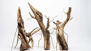 Bonsai Driftwoods