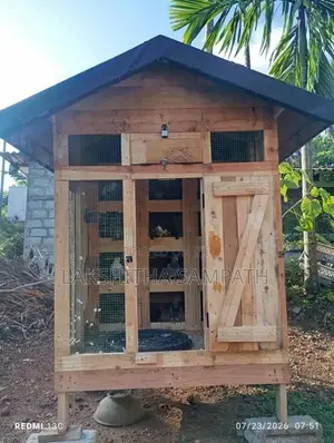 Cage with Pigeon