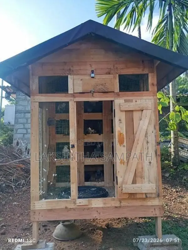 Cage with Pigeon