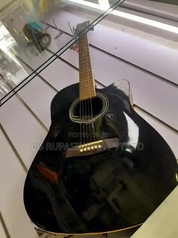 Suzuki Box Guitar