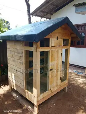 Cage with Pigeon