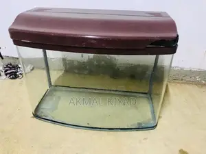 Fish Tank