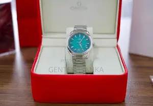 Omega Seamaster Aqua Terra Watch