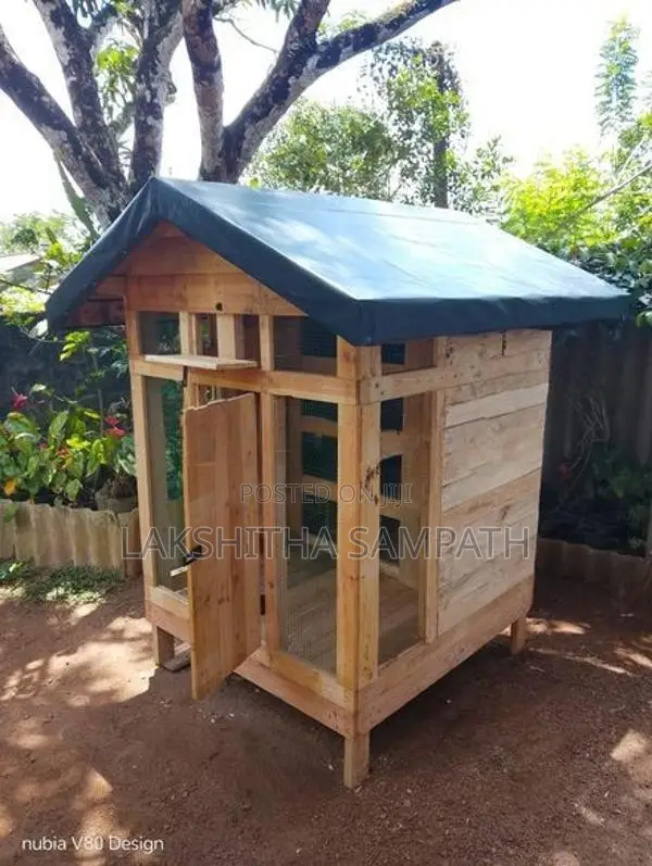 Cage with Pigeon