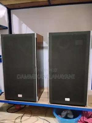 Diatone Speaker 12