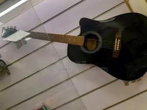 Suzuki Box Guitar