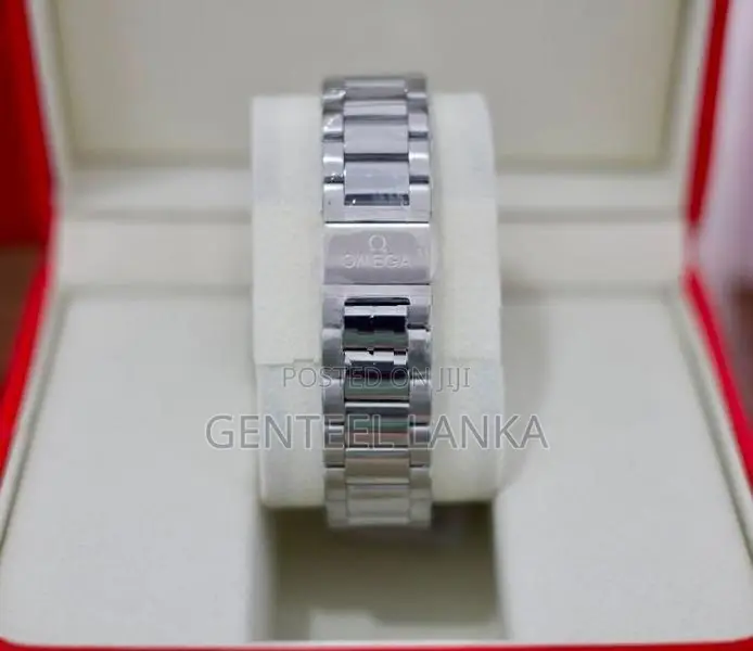 Omega Seamaster Aqua Terra Watch