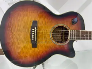 Semi Electronic Guitar