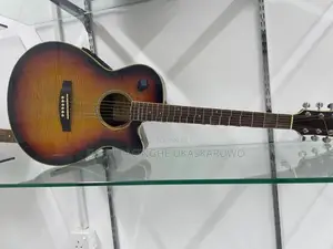 Semi Electronic Guitar