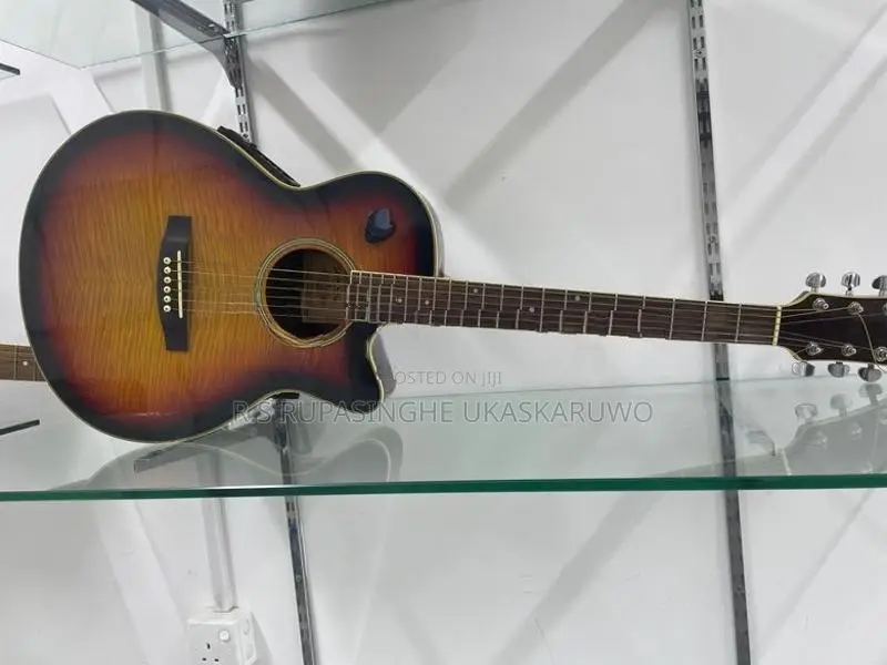 Semi Electronic Guitar
