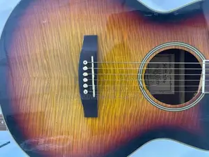 Semi Electronic Guitar