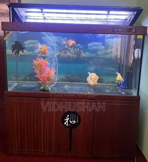 Xilong 5 Ft Fish Tank