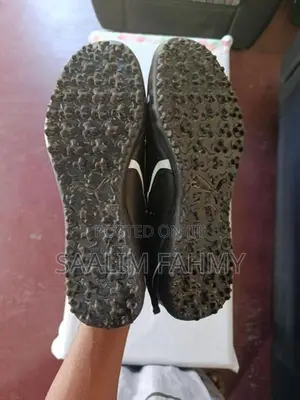 Puma Carpet Pair