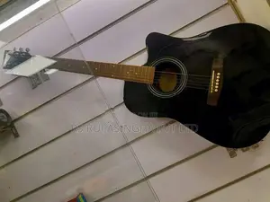 Suzuki Box Guitar