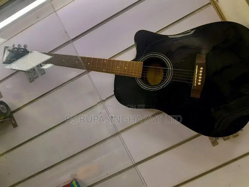 Suzuki Box Guitar