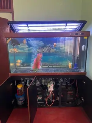 Xilong 5 Ft Fish Tank