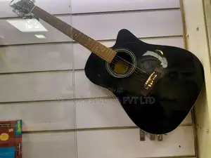 Suzuki Box Guitar