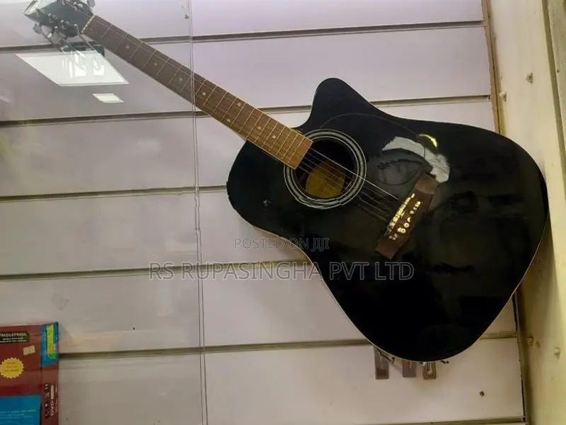 Suzuki Box Guitar