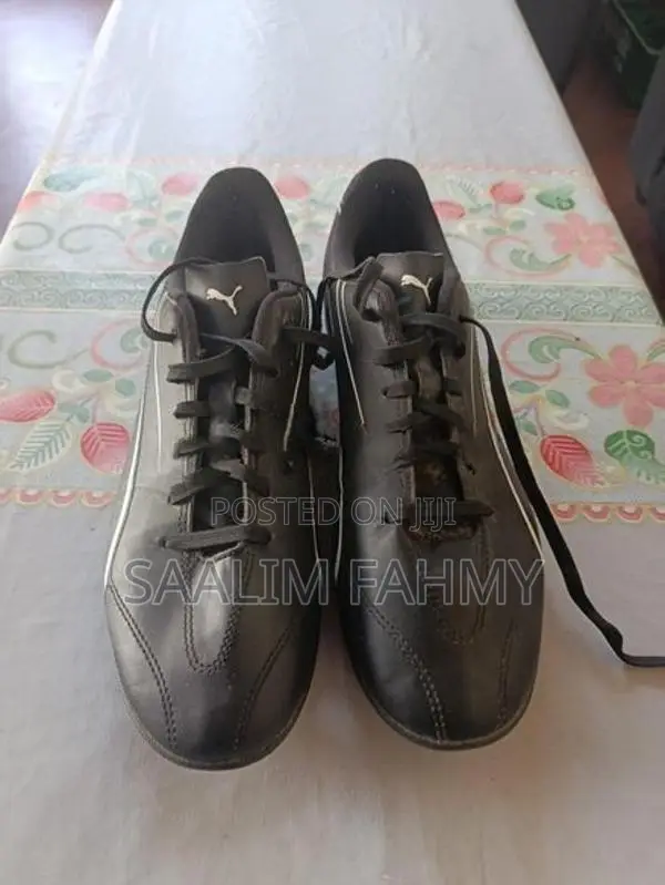 Puma Carpet Pair