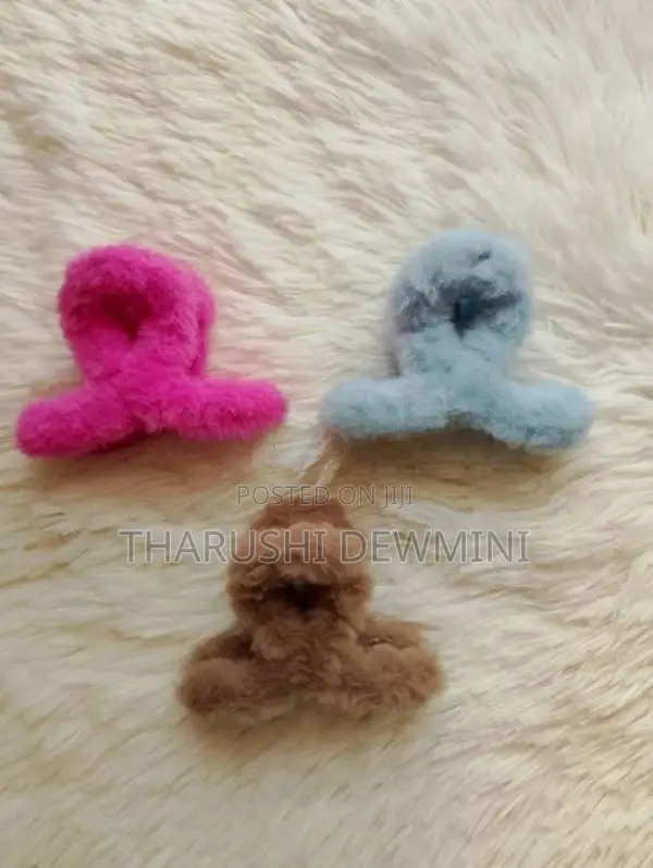 Hair Bands with Clips