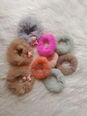 Hair Bands with Clips