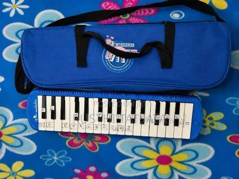 Used Melodica –