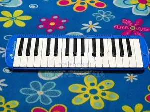 Used Melodica –