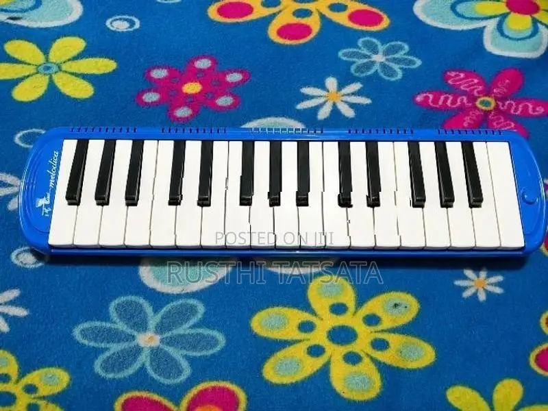 Used Melodica –
