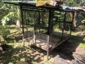 Dog Cage