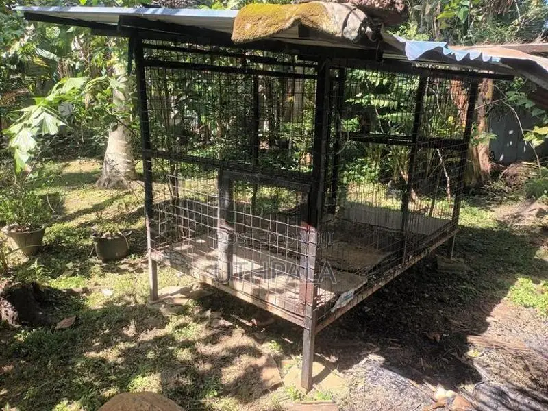 Dog Cage