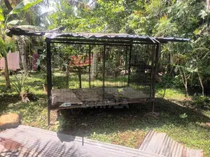 Dog Cage
