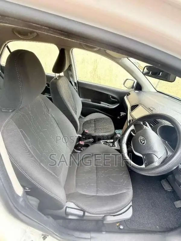 Kia Picanto 2016 Car (Used)