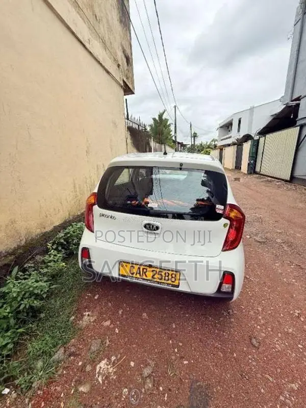 Kia Picanto 2016 Car (Used)