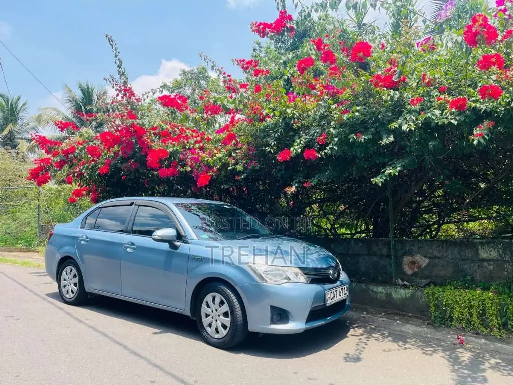 Toyota Axio 2014 Car (Used)
