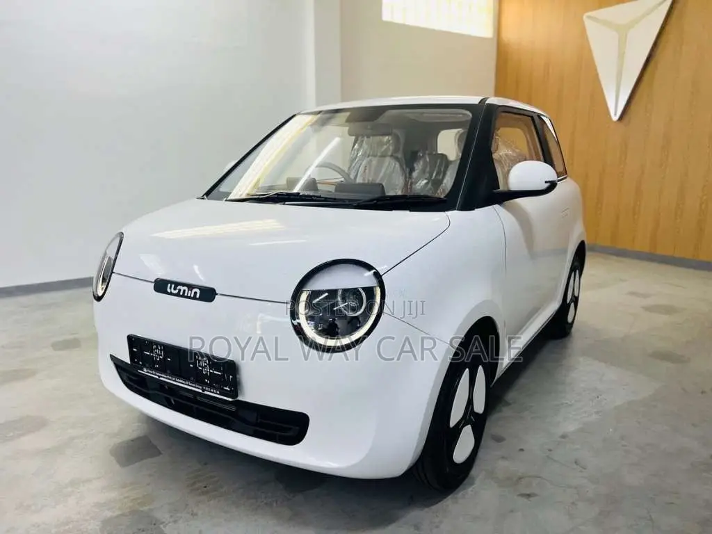 Changan LUMIN 301KM RANGE EV 2026 Car Brand New