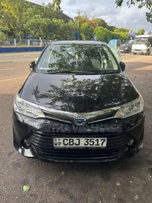 Toyota Axio 2016 Car (Used)