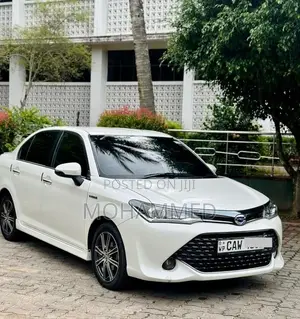 Toyota Axio WXB 2017 Car (Used)