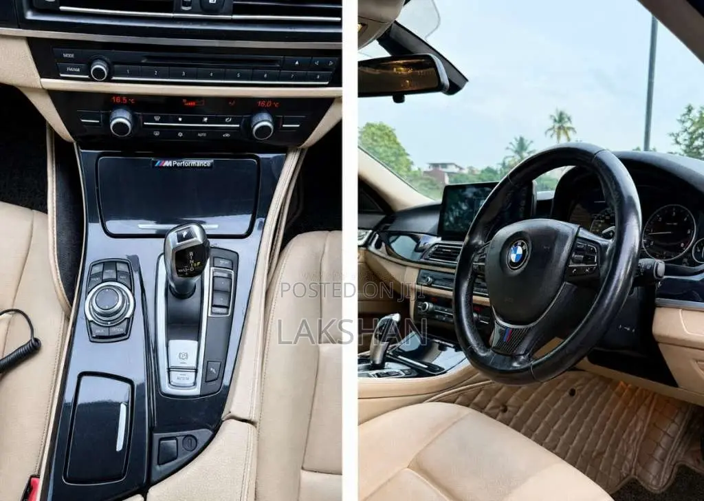 BMW 520D 2012 Car (Used)