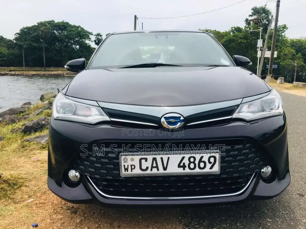 Toyota Axio Wxb 2017 Car (Used)
