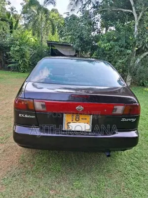 Nissan Sunny FB14 1994 Car (Used)