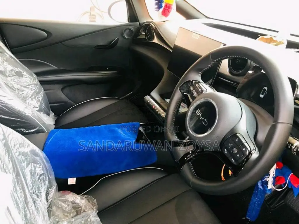 BYD Dolphin 49 Motor 2025 Car (Used)