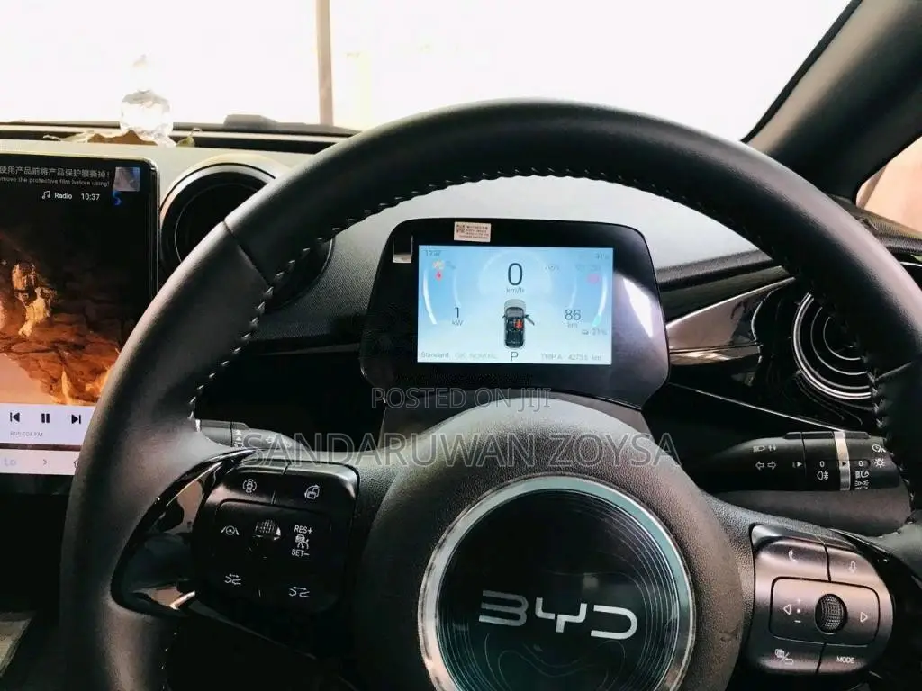 BYD Dolphin 49 Motor 2025 Car (Used)