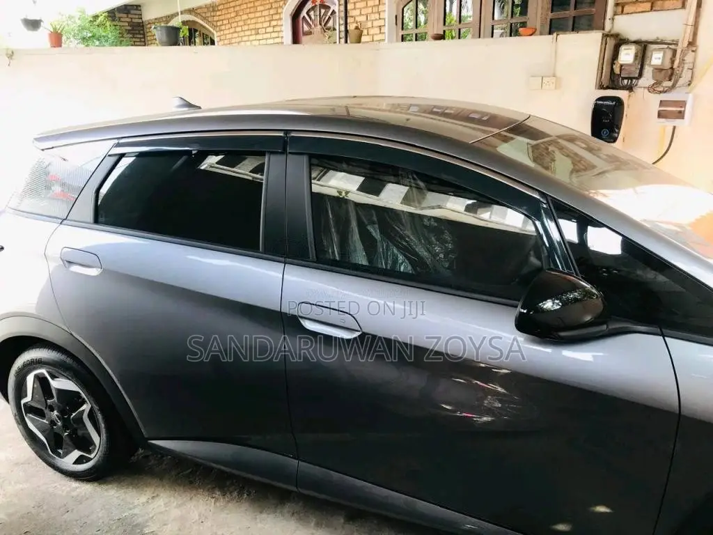 BYD Dolphin 49 Motor 2025 Car (Used)
