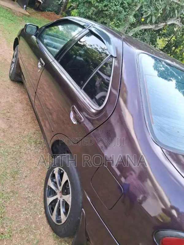 Nissan Sunny FB14 1994 Car (Used)