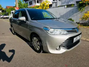 Toyota Axio 2017 Car (Used)