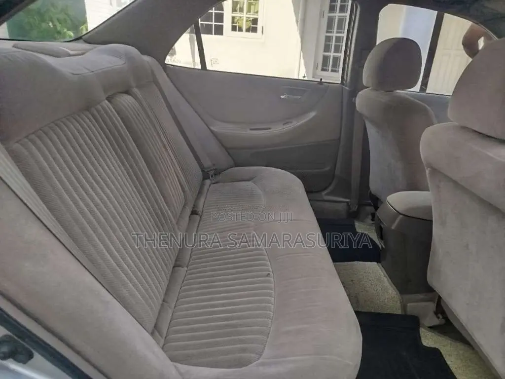 Honda Accord 1999 Car (Used)